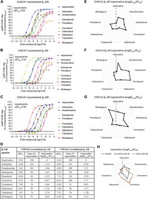 Fingerprinting heterocellular β-adrenoceptor functional expression in the brain using agonist activity profiles